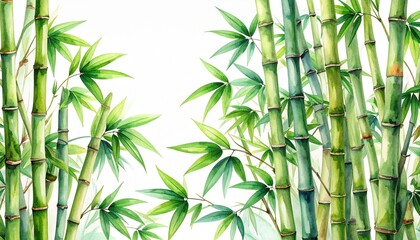Japanese-style illustration of lush bamboo and leaves