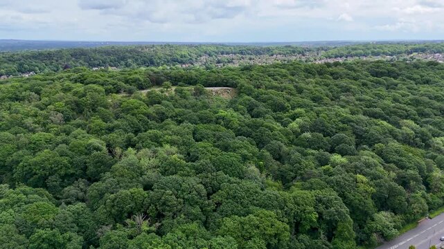 Croham Hurst