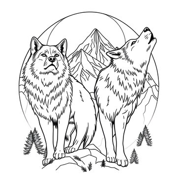
animal mandala art