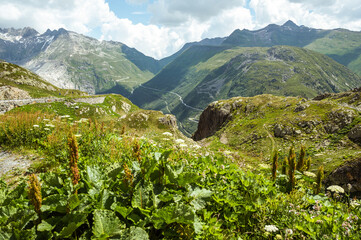 mountain landscape with Swiss mountains
