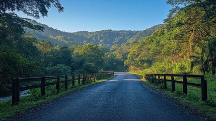 Highway with metal crash barriers surrounded by lush green forest under a clear blue sky on a bright day. 