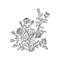 Fototapeta premium Elegant black line art floral design with roses and leaves buds stems