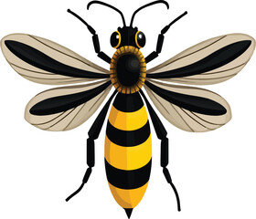 Vector art of an elegant vector illustration of a bee with black and yellow stripes, isolated on white background