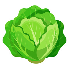 Vibrant green cabbage illustration on a black background