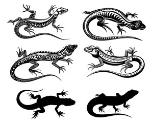Fototapeta premium Lizard silhouette. Iguana. Set of vector silhouettes of lizards. Vector illustration on a white background.