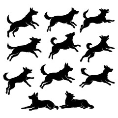Silhouette of a dog jumping and lying. Set of vector dog silhouettes. Vector illustration on a white background.