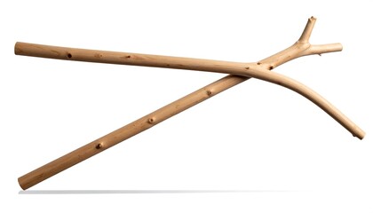 Two crossed wooden branches