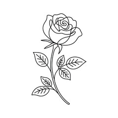 Elegant single line art rose with leaves flower stem