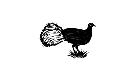 Bulwer's Pheasant bird, black isolated silhouette