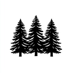 Fototapeta premium Silhouetted pine trees
