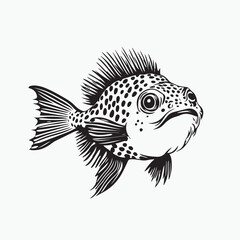 fish vector illustration