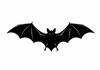 The Chiroptera Order of Mammals Understanding Their Diverse Adaptations and Nocturnal Lifestyles