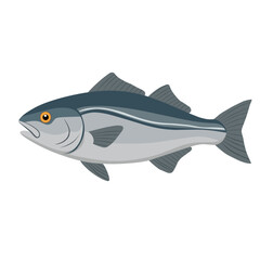 Realistic flat vector illustration of a fish, ideal for seafood themes, fishing content, biology visuals, or educational marine infographics