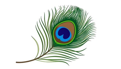 Obraz premium Vibrant peacock feather graphic