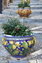 Cefalu Sicily, Italy - July, 2025: Plant pots in a row on a staircase. View of an alley with steps...