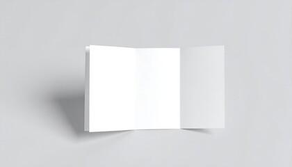 Blank trifold brochure mockup