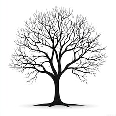 Silhouette of a bare winter tree (1)