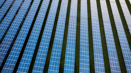 Sprawling Solar Panel Array on Green Field