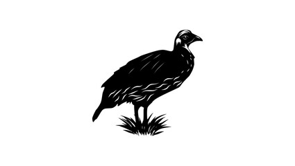 Djibouti Spurfowl bird, black isolated silhouette