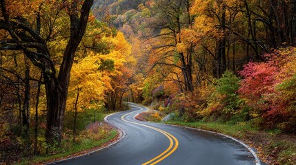 Curving wet asphalt road cutting through forest, autumn leaves painting landscape with vibrant yellow, orange, red, green hues under soft light