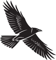 Black and White Silhouette of a Flying Seagull Bird Illustration Isolated on White Background
