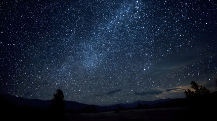 Fototapeta premium night sky with stars