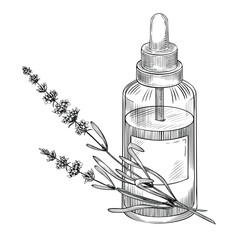 Glass dropper bottle with lavender sprigs and rosemary leaves in linear drawing. Outline vector illustration of essential oil for medicine designs or aromatherapy. Etching painted by black inks.