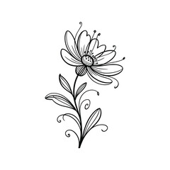 Delicate black line art flower with swirling stem and leaves bloom botanical