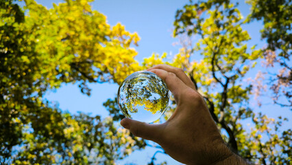 autumn trees in the forest seen through the glass ball