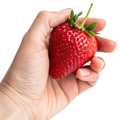 hand holding a strawberry on white background