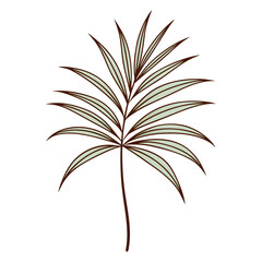 vector illustration of a tree