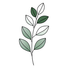 green leaves isolated on white