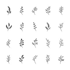 Delicate Wildflower Set. A charming hand-drawn collection of wildflowers with long stems and subtle blossoms, perfect for nature lovers, rustic designs, and minimalist art.