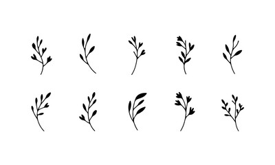 Hand Drawn Herb Sprigs Set. A botanical collection of simple herb and plant sprigs in a natural minimal style, ideal for recipes, labels, and eco packaging.