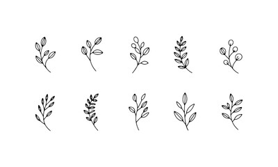 Vintage Botanical Etching Set. A series of botanical illustrations inspired by antique etchings, with fine lines and historical elegance.