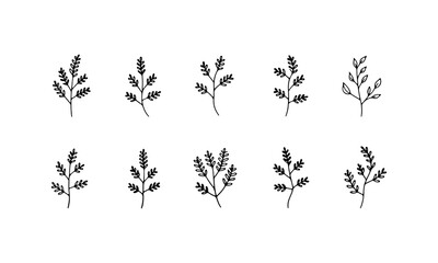 Abstract Botanical Doodles. A quirky set of abstracted leaf and plant shapes, ideal for modern graphics, backgrounds, and branding.