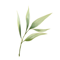 Artistic Watercolor of a Thin Bamboo Leaf &ndash; Elegant Botanical Illustration on Black