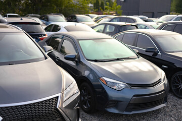 A row of cars parked outdoors, ideal for a car dealership or automotive advertisement.