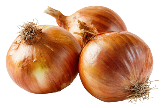 Golden onions organic fresh produce staple cooking ingredient healthy vegetable food gourmet kitchen