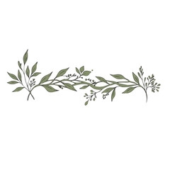 Obraz premium Botanical page divider with green foliage on a transparent background 