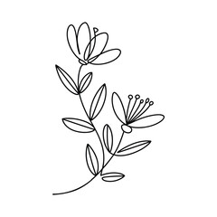 Delicate floral branch with blooming flowers and leaves leaf