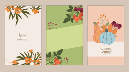 Autumn covers or a set of postcards. Vector cozy seasonal elements. Vector illustration templates. Sea buckthorn, rose hips, pumpkin, solid color background