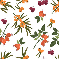 Berries seamless pattern. Autumn isolated berries on a white background. A cute pattern with a repeating pattern for the fall season.