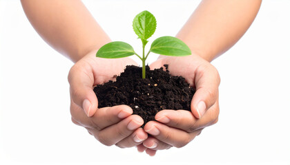 the image shows two hands cupped together, holding a pile of dark soil. a small plant is growing out of the soil, with a thin stem and three green leaves