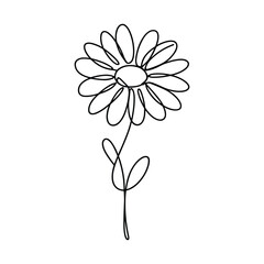 Fototapeta premium Single line art daisy flower with stem and leaves black and white