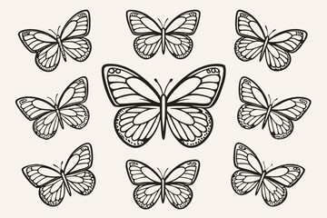 Fototapeta premium Detailed black and white butterfly collection insect