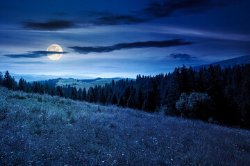 mountain landscape with fir forest on the hill in summer at night. hiking through beautiful nature...