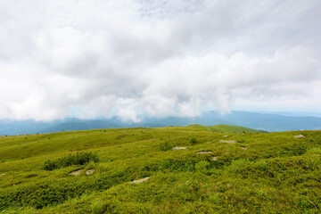 mountain landscape summer with alpine meadow. meteorology background with overcast sky. scenery with green grass of caprathian range