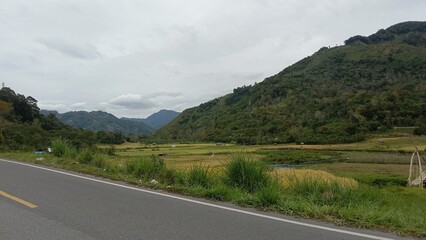 Lush Mountain Landscape with Rice Fields and Cloudy Sky, Roadside View.