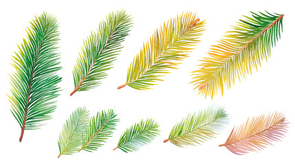 Evergreen Spruce Leaf Watercolor Set Showing Multiple Positions and Textures, with Transparent Background